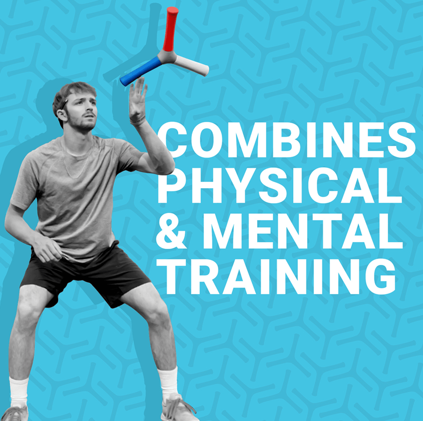 HECOstix Red White Blue