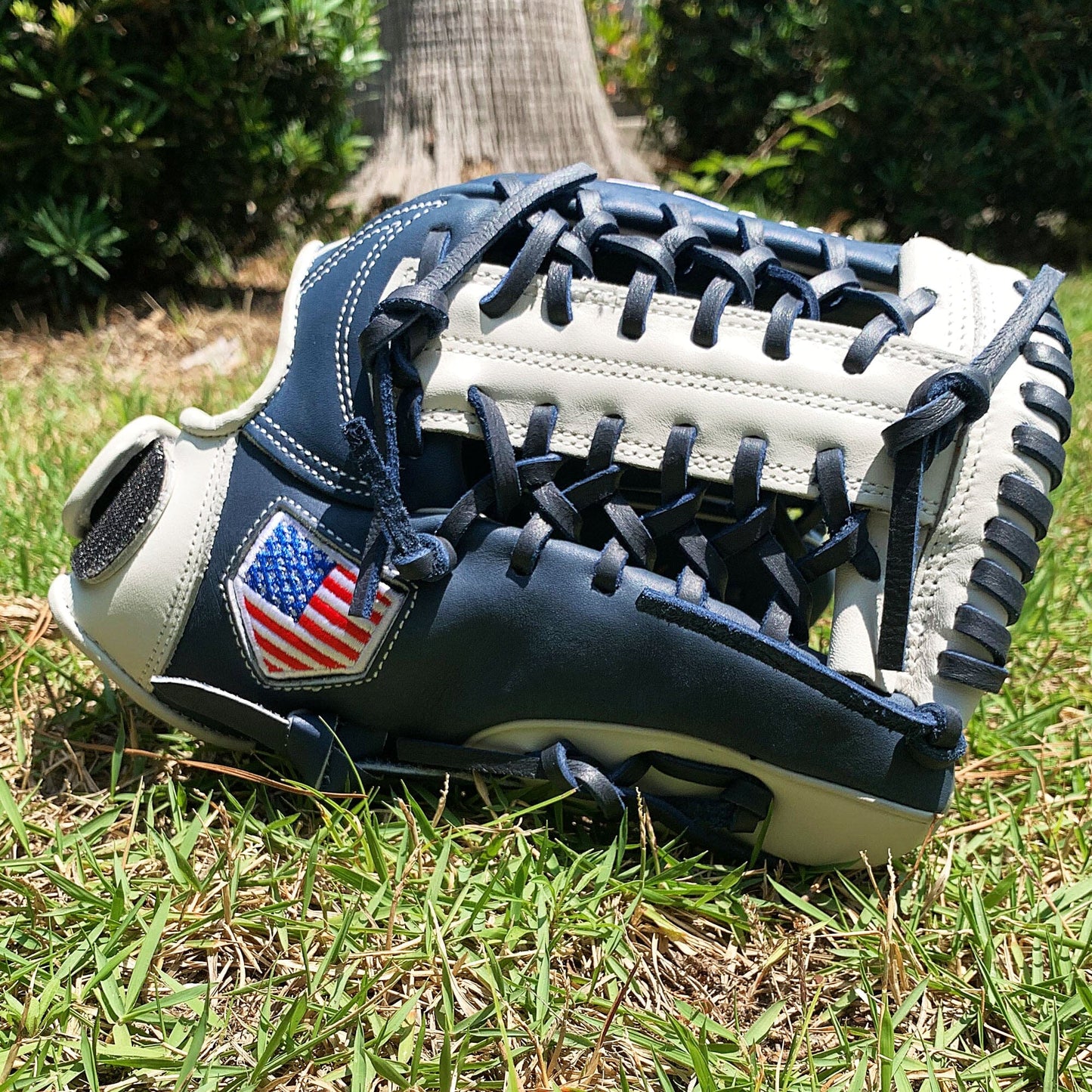 12" - Navy & White - Modified Trapeze Web